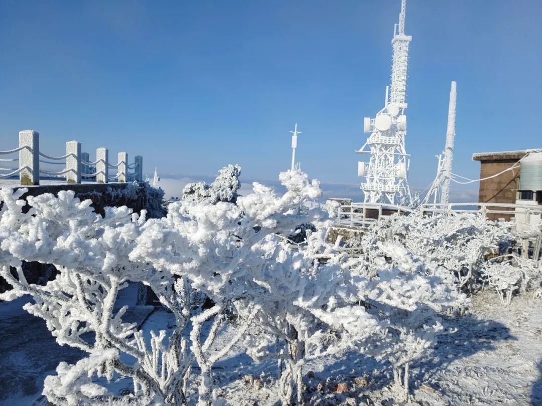 雪景|太美了！台州最新雪景！括苍山跌至-10℃，再现云海奇观（多图多视频）