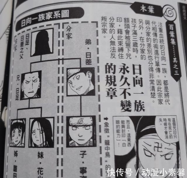家主|火影忍者:为什么鸣人的孩子不用刻上日向一族的“笼中鸟”印记?