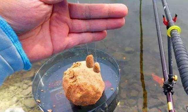 钓友|钓鱼饵料这样搭配,有助于提高上鱼频率