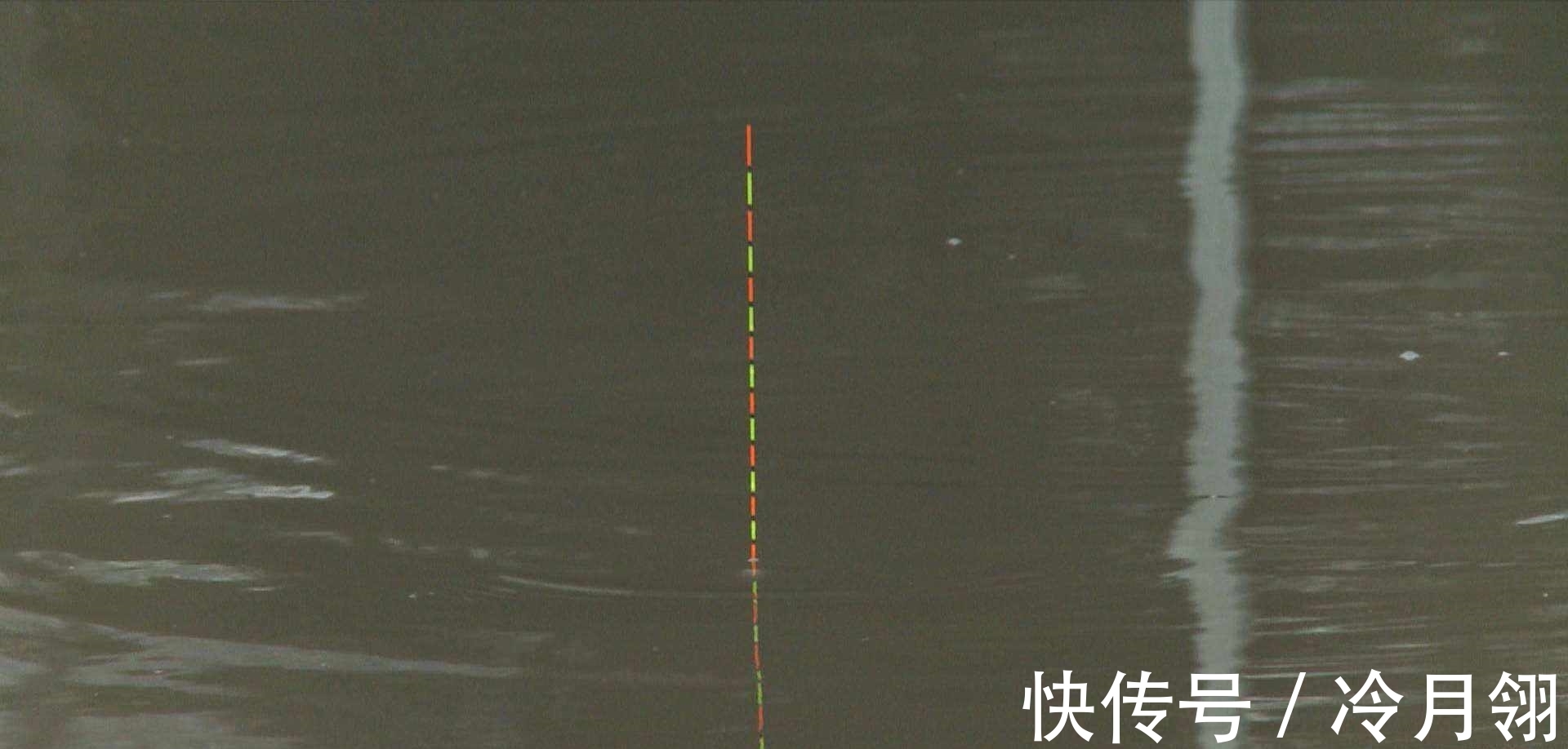 搞明白浮漂产生动作的原因,就知道怎么钓鱼了