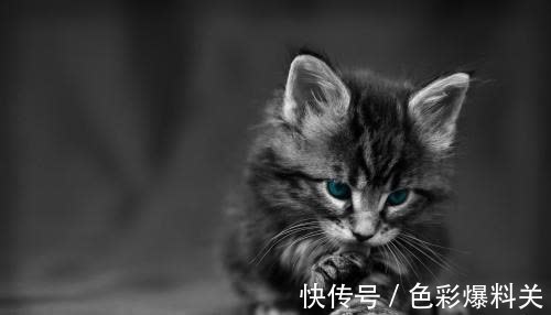 |幽默笑话:前两天上英语课,临时有事,找了个很年轻的老师来代课