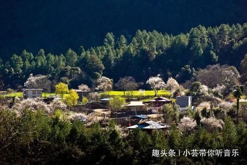 沿着318，去波密，寻找云端上的桃花源，看全世界最美的桃花