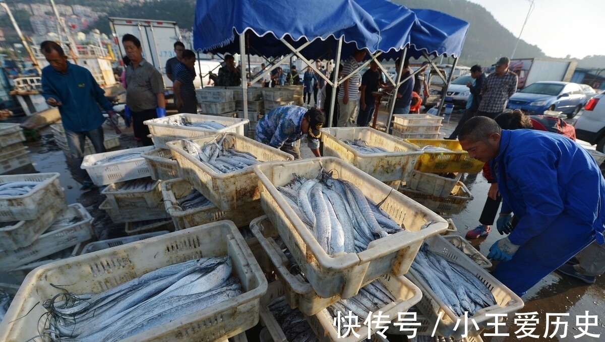 美味|北方人餐桌上必不可少的美味,除了干炸和红烧,这种做法味道更鲜