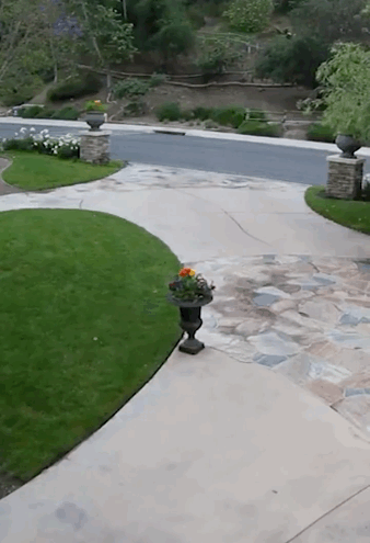 |搞笑GIF趣图:这是谁家的宝藏女孩,我承认我酸了