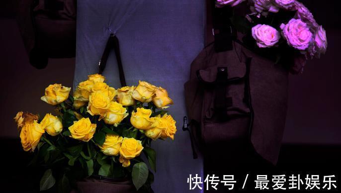 漳红樱|拜拜了月季!养了四年月季,这个秋天果断换坑,希望没有换错