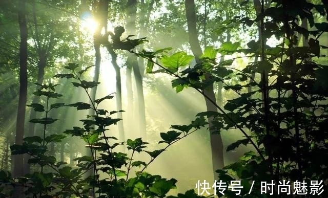 舴艋|诗词|有没有那样一首古诗词,令你“难以启齿”?