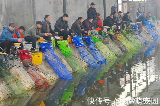 钓友们|黑坑到底赚不赚钱?带你走进黑坑世界
