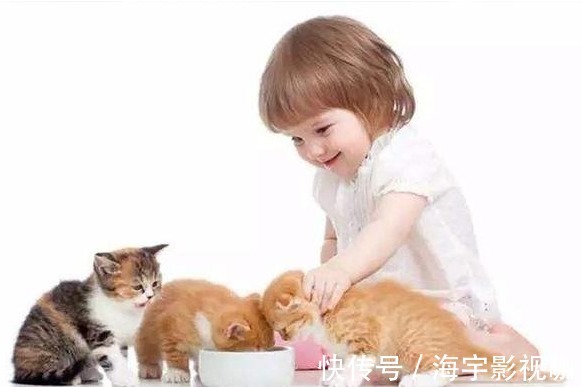 爷爷奶奶|妈妈回家发现三胞胎正合谋杀鸡,妈妈乐坏了,爷爷气坏了