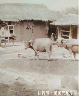 水车|绝密老照片,揭露百年永州的真实面目