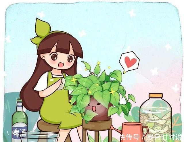 它是天然叶面肥,一擦一喷,叶子比打了蜡还亮!