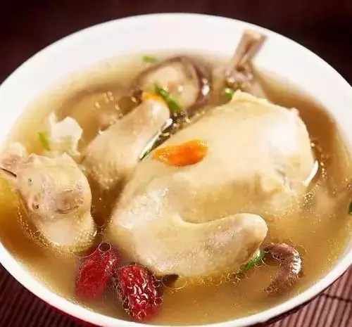 软骨素|俗话说“一鸽胜九鸡”,鸽子肉有哪些好处和配伍禁忌?早知早好