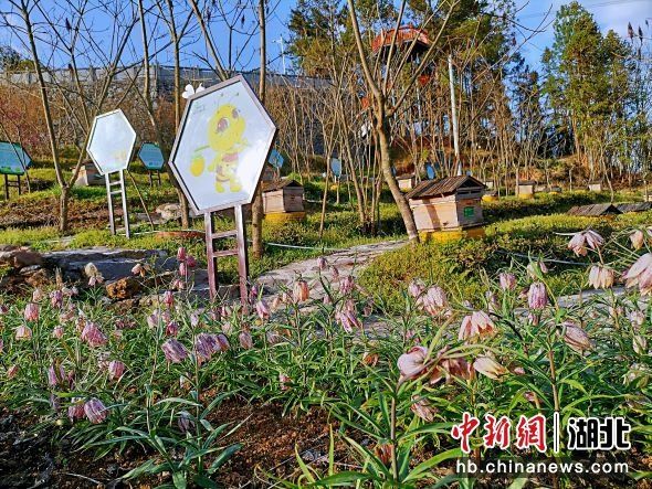 柴埠溪|湖北五峰：绿水青山生金记