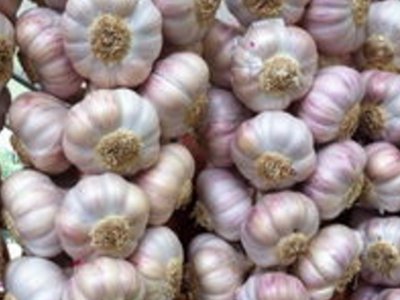 蒸大蒜水竟有如此驚人的功效非常好用!告訴大家試試這個小妙招