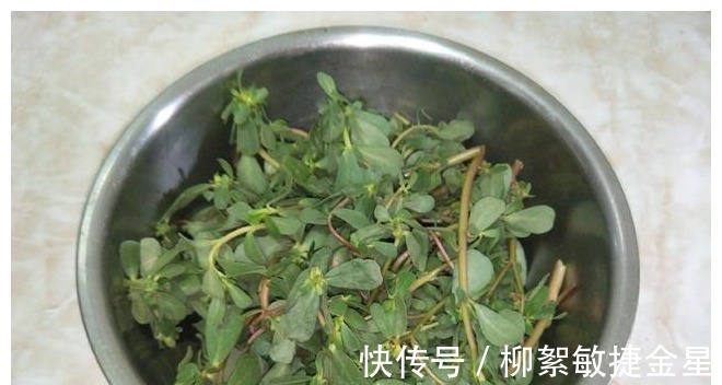 面粉|天气炎热，这道野菜多做给家人吃，清凉不油腻，美味下饭！