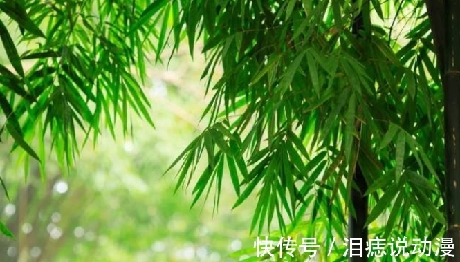 梦杳|「原创诗词」三人行|几许夜阑沉醉 莫叹霜痕今老