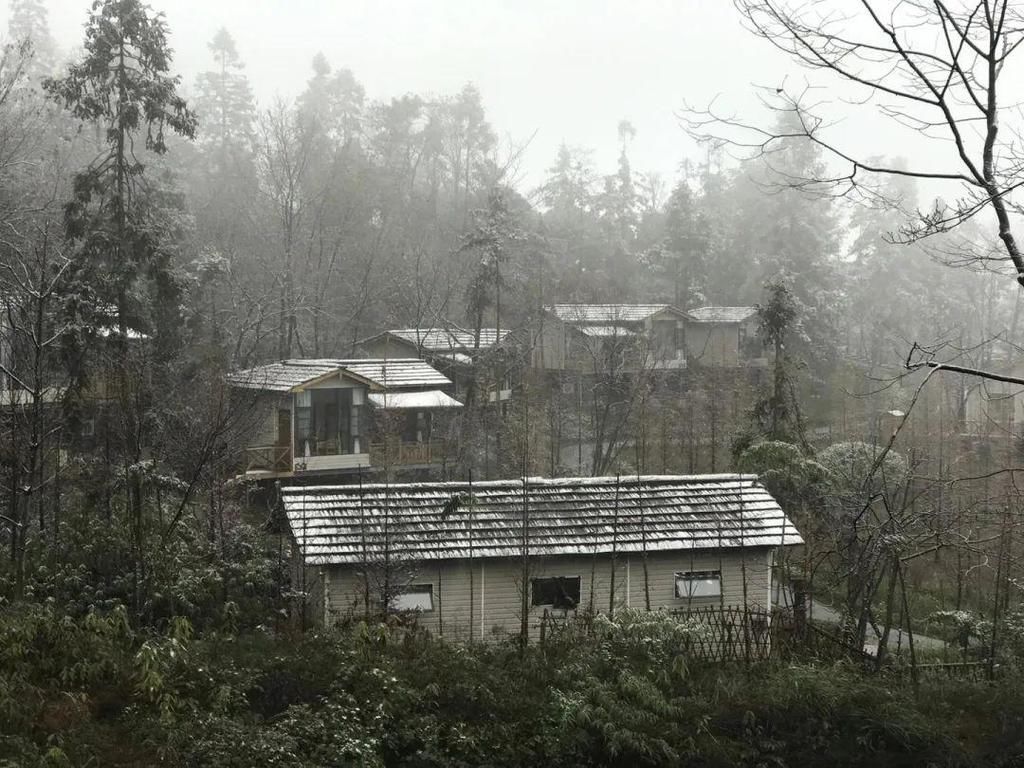 地方|汶川下雪了！这些地方，你最想去哪个？