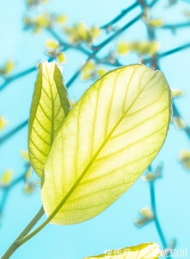 爱人|风雨兼程，桃花纷纷，缘分降临，破镜重圆，余生幸福美满