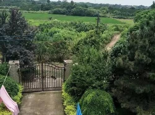 罗马柱|去男友乡下老家,他说的茅草房原来是别墅,感觉自己赚翻了