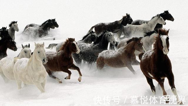 多宝如来$多宝如来、孔雀明王、骊山圣母,幸存的截教门人,谁的成就最高?