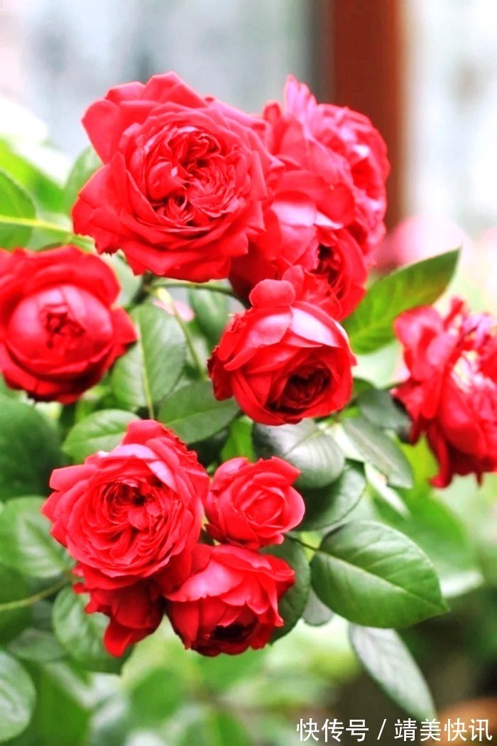 春光灿烂$很有意境的句子,生活是个万花筒,酸甜苦辣尽藏其中