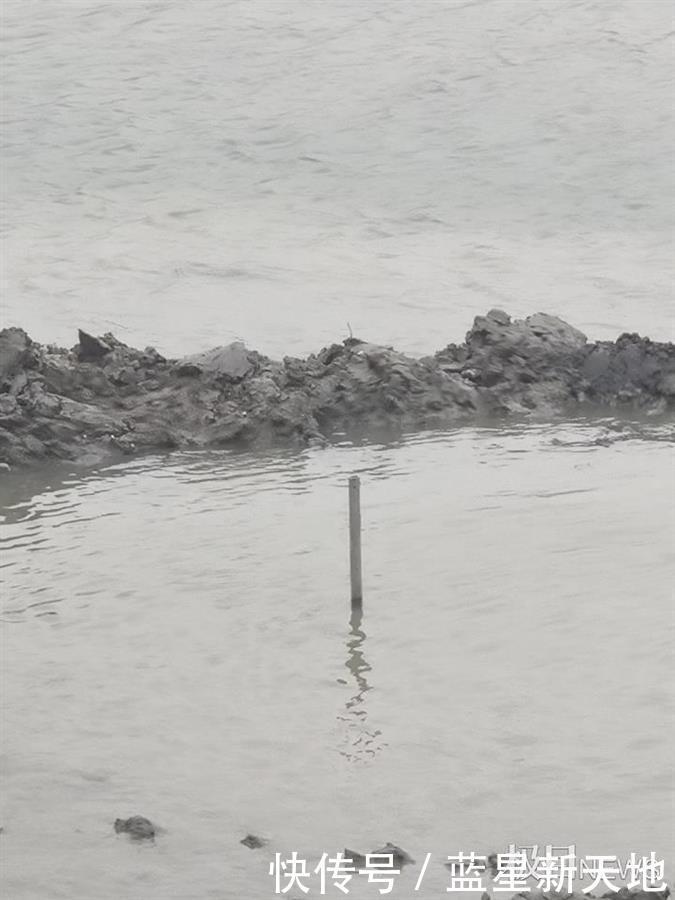 坠入浙江嘉善鱼塘的不明物体：事发4日仍未挖到，是陨石的可能性不大