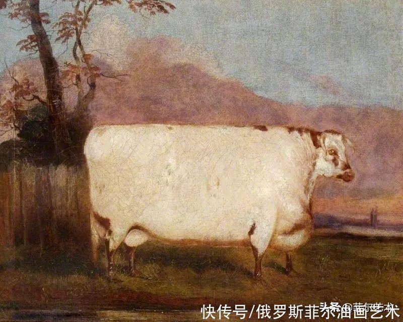 母牛|牛年大吉，西方人油画里牛为啥是长方形？