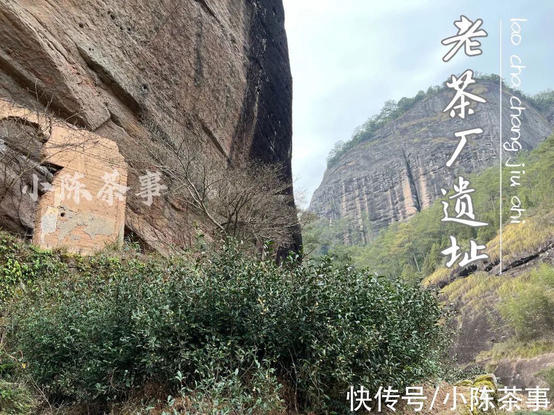 天心岩&除了牛栏坑、慧苑坑、流香涧，天心岩算不算武夷岩茶的三坑两涧？