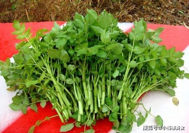 真正的“补钙王”就是它，隔三差五喝，做法简单，补钙长个头