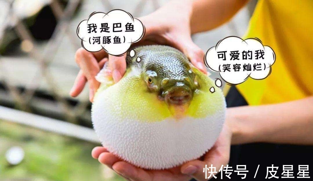 西湖@苏轼八首经典的山水风景诗词,意境优美,比喻奇特,理趣横生