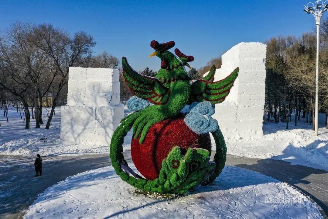 探秘|太阳岛雪博会：还没开雕，堆雪已经很壮观丨手机记者带你探秘