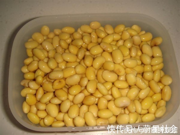 一把黄豆,卤水石膏都不用,在家轻松做豆腐,简单到小学生都会