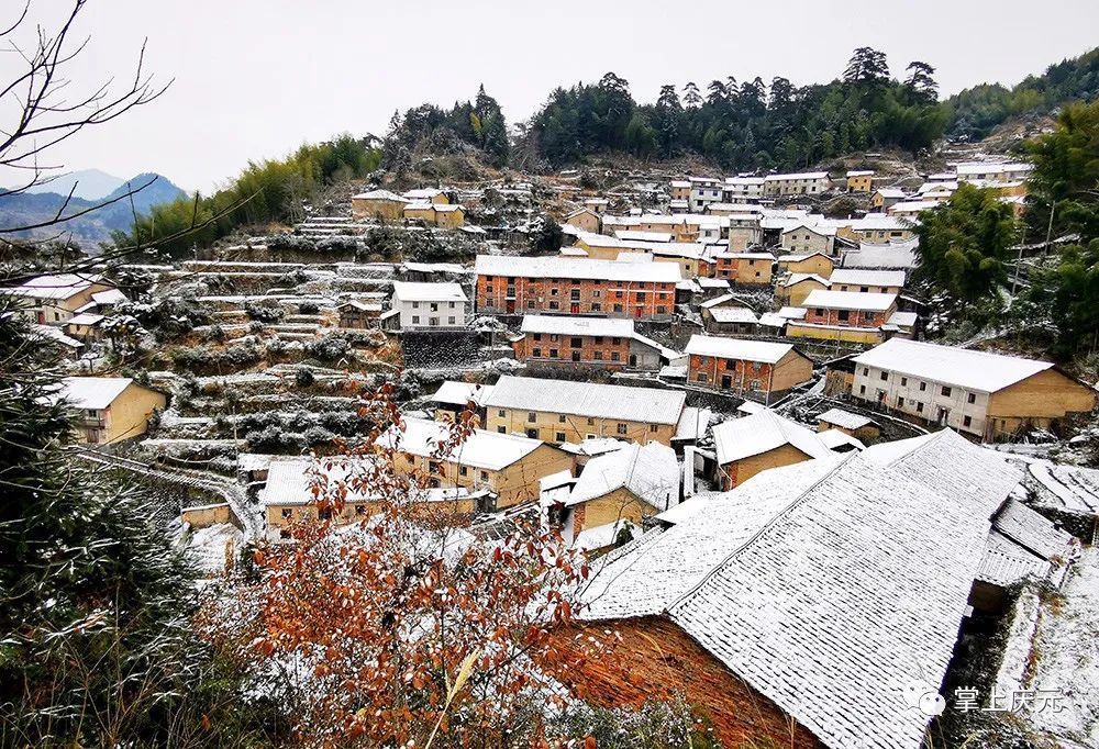 胡惠菲|庆元绝美雪景大片，上新了！