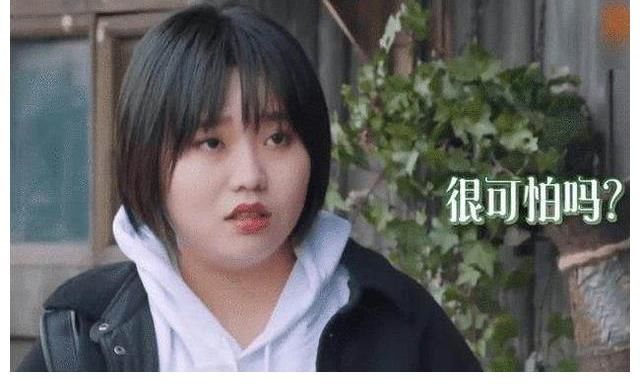 乔杉|《向往的生活》被吐槽越来越差,脱口秀演员李诞李雪琴为何惹争议