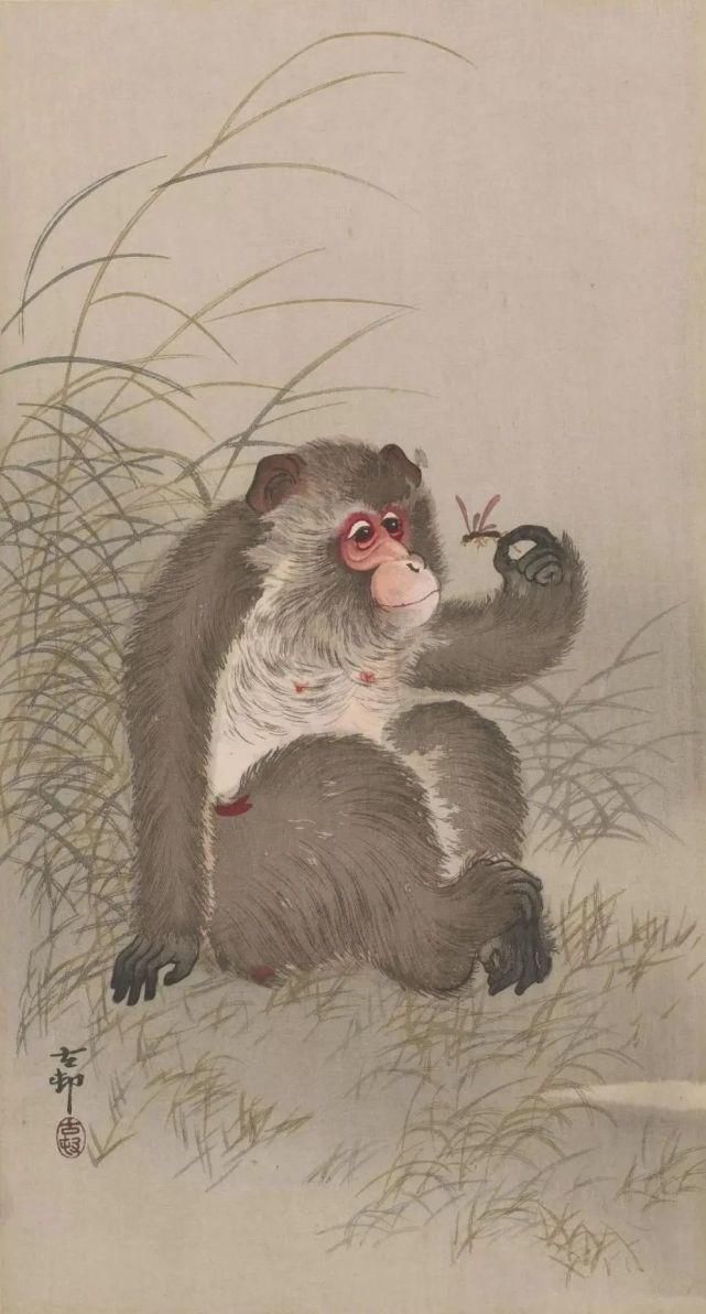 日本绘画大师的花鸟画，淡雅清新