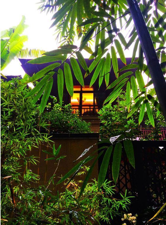 等我们老了,找个院子,清晨养花,傍晚喝茶。