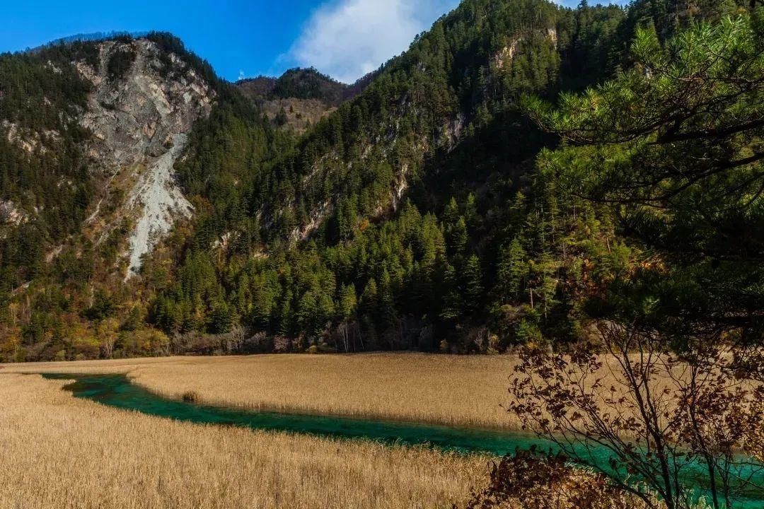 人间最美四月天，四月最美阿坝景！