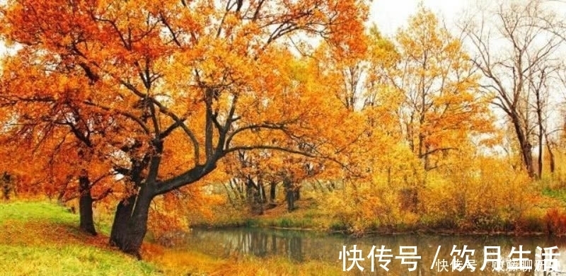 清朝|清朝诗人赵翼最唯美的一首诗,最是秋风管闲事,红他枫叶白人头!