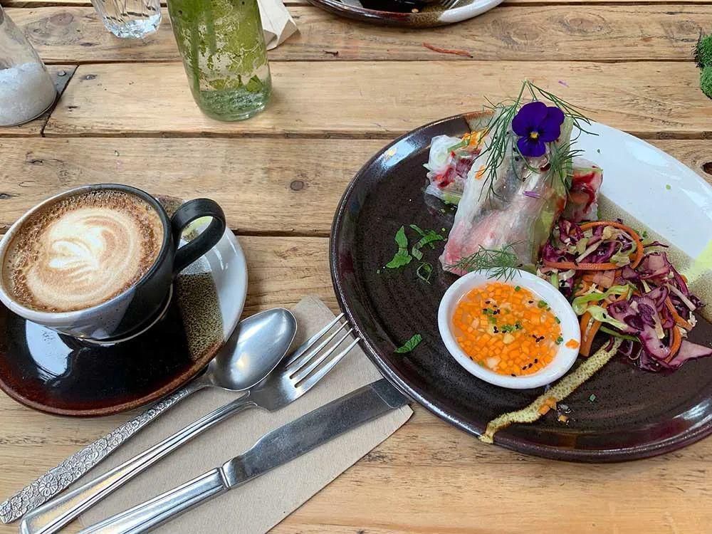  看完这个，想把家里花盆丢了