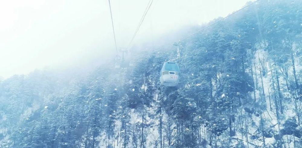 趁着错峰我去了趟峨眉山，不排队全山上下耍个够！