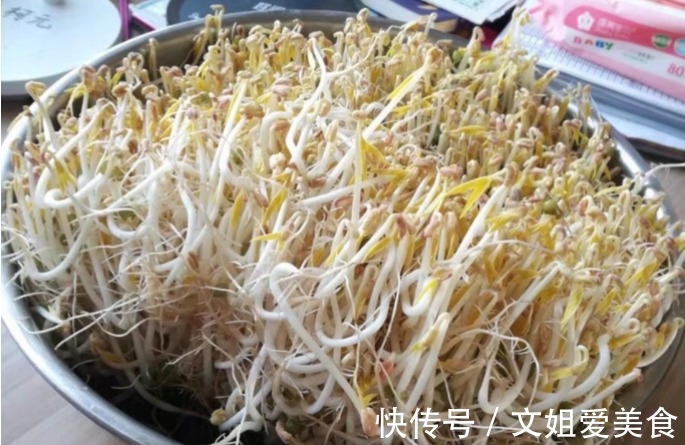 黄豆芽|四季度能吃到的菜,普通实惠2元一斤,营养满满,做法简单