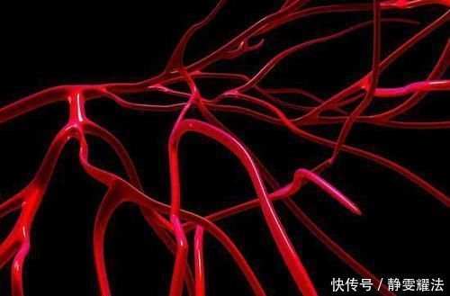 血管垃圾的“克星”来了，每天吃一些，血液不粘稠，血栓溶干净