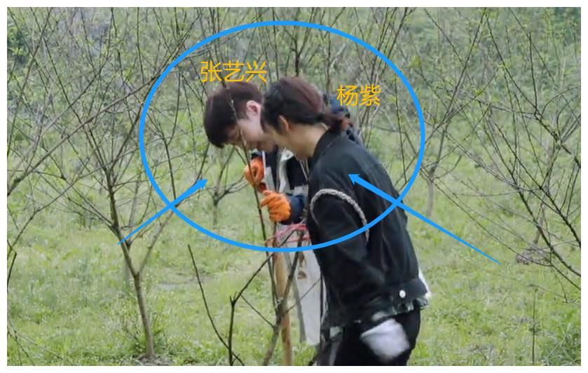 杨紫做客下期《向往5》，与张子枫热聊，穿张艺兴同款睡裤引热议