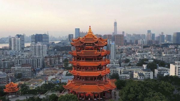 老年|中国说：高佑思，我们走！过年就去武汉