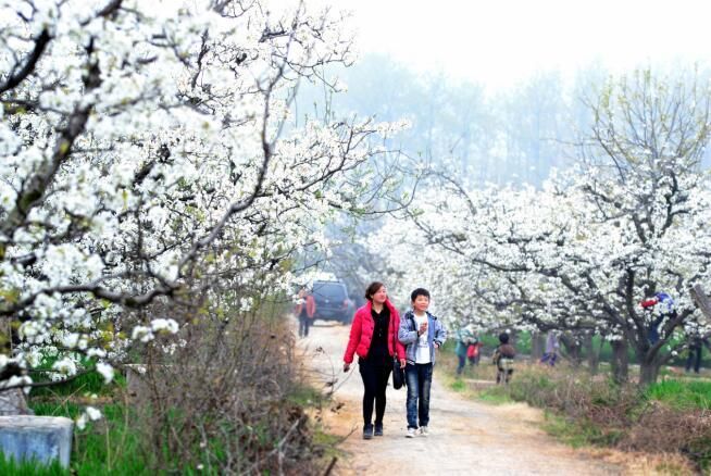 文旅@安徽泗县：文旅融合促发展 幸福指数节节升