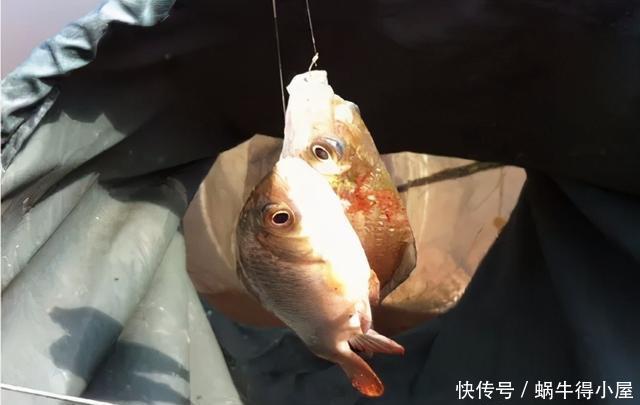 水域|找好钓点,陌生水域也可能连竿