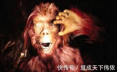 诡异生物|中国诡异生物前5名，多次被人目击，个个神秘且恐怖！