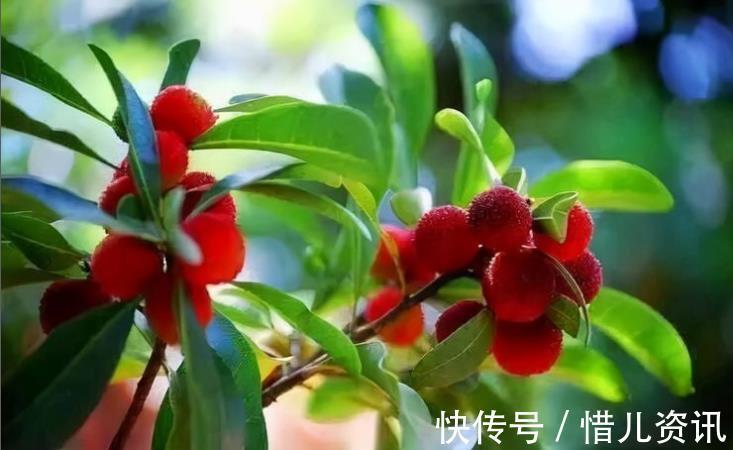 女性|冬季来了,多吃三种食物,补血补钙,补充营养,女性要常吃