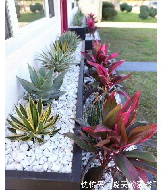 治愈系|小空间庭院花园，正确的绿植搭配技巧，让小院落变身治愈系小花园