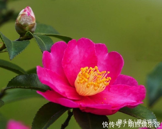 Geplc4qjo6 Jzm Geplc4qjo6 Jzm