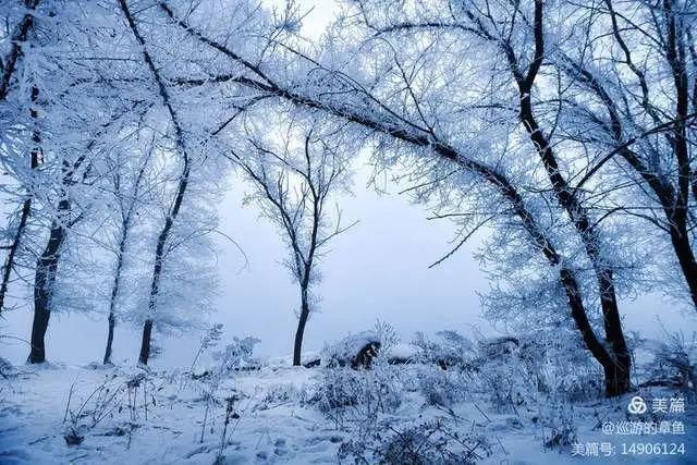 童话|冰天雪地，童话吉林